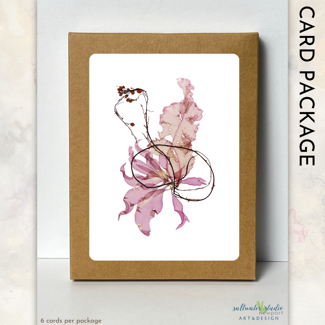 Atlantic Seaweed Card Package