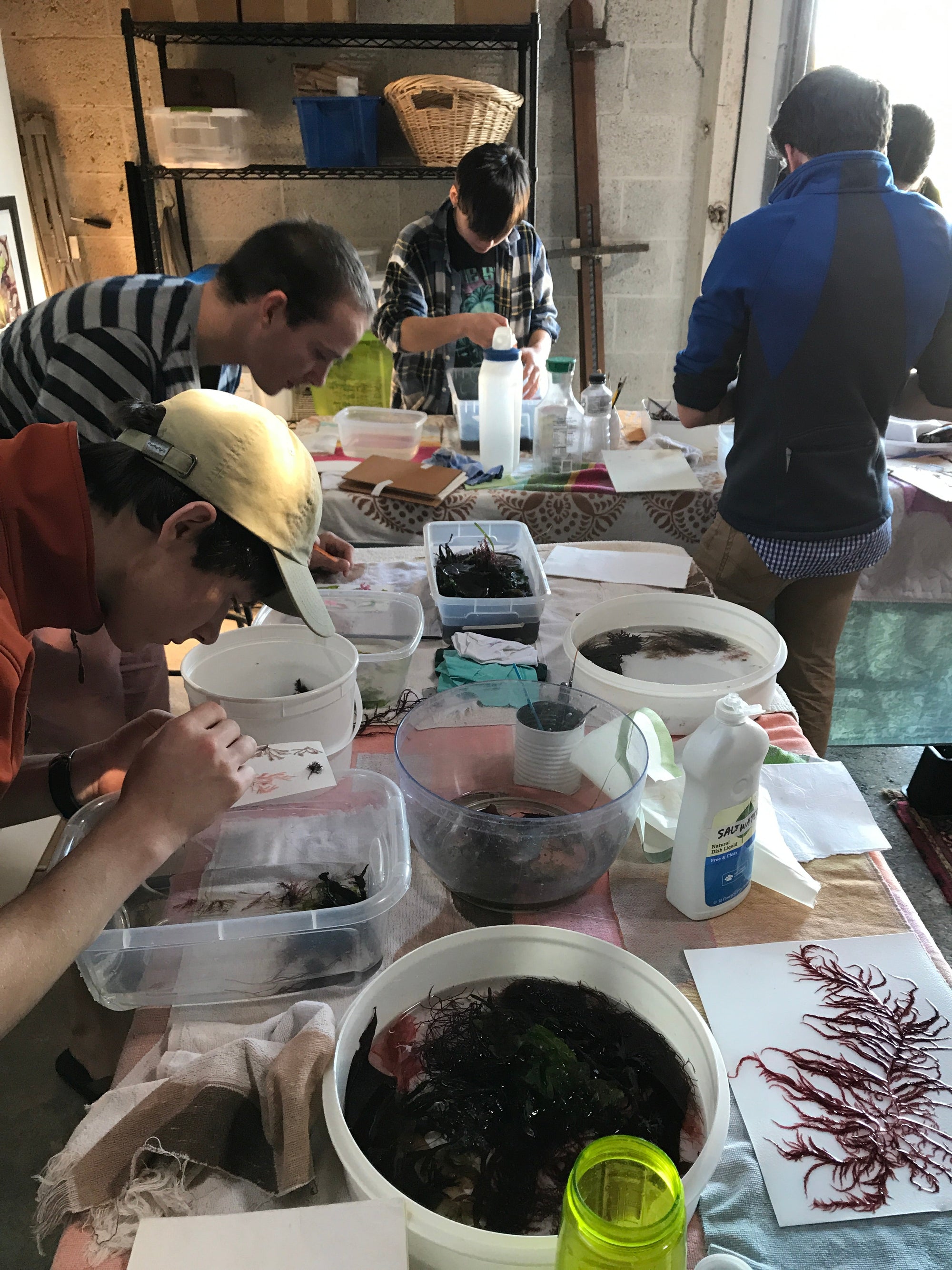 Seaweed workshop at Saltwater Studio with Olin College of Engineering Students