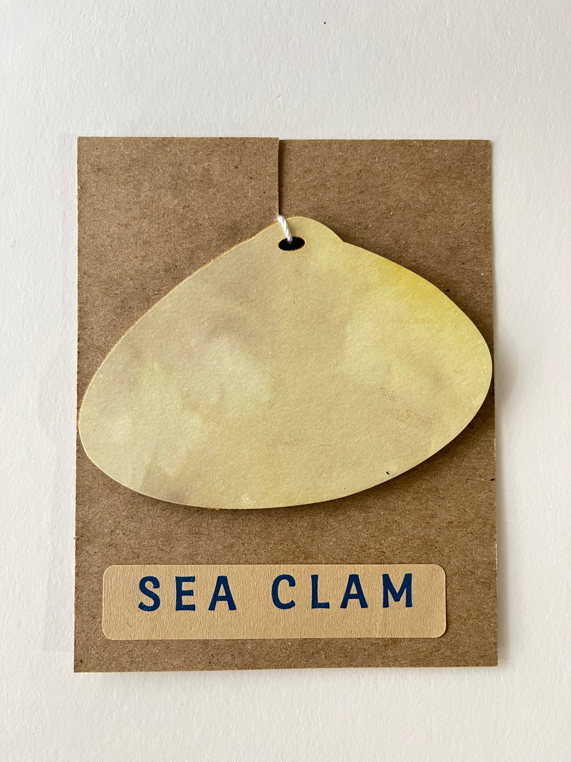 Sea Clam Ornament