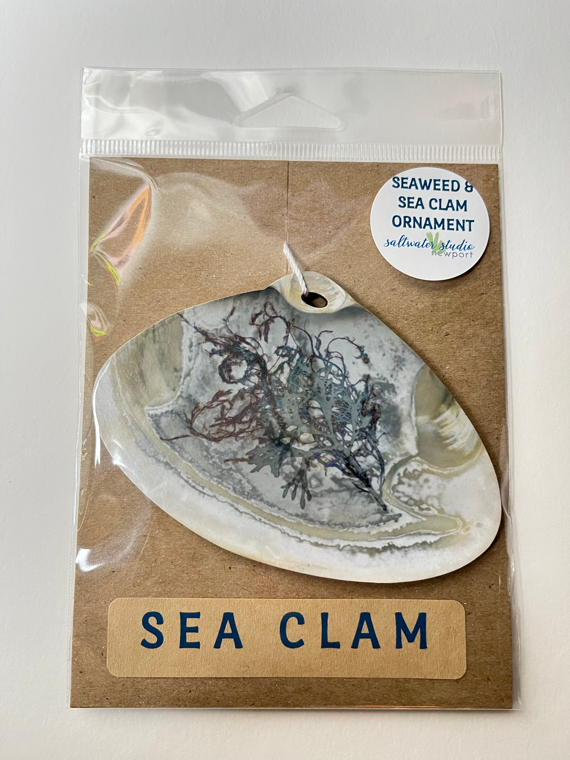 Sea Clam Ornament