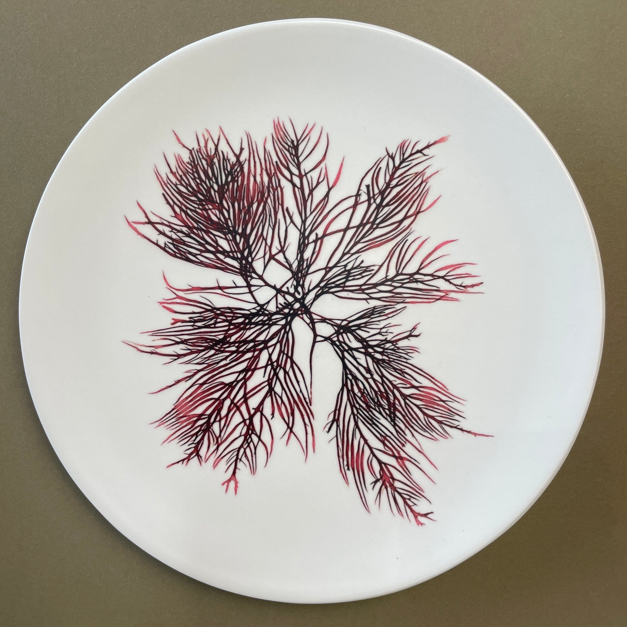 Melamine Small Plates