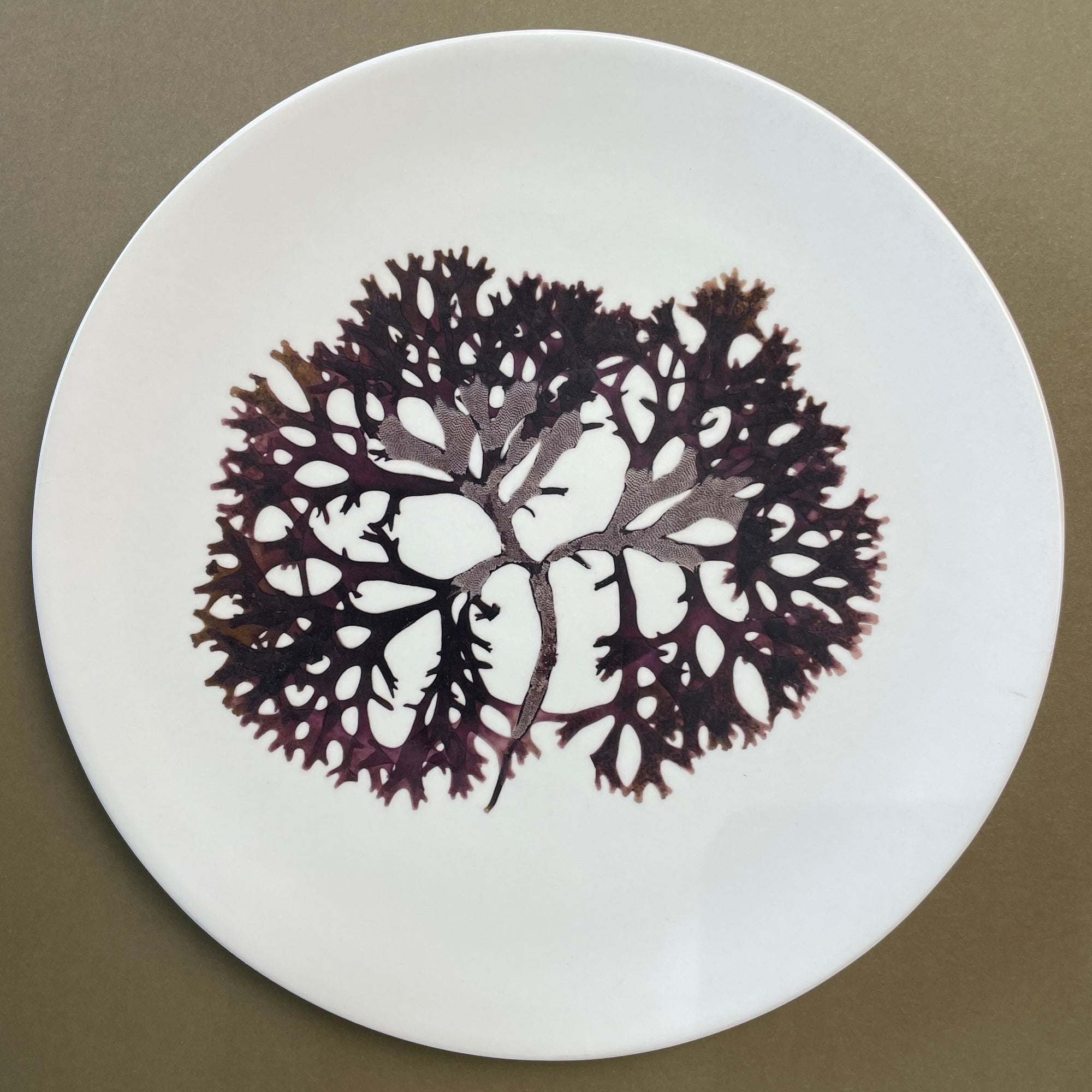 Melamine Small Plates