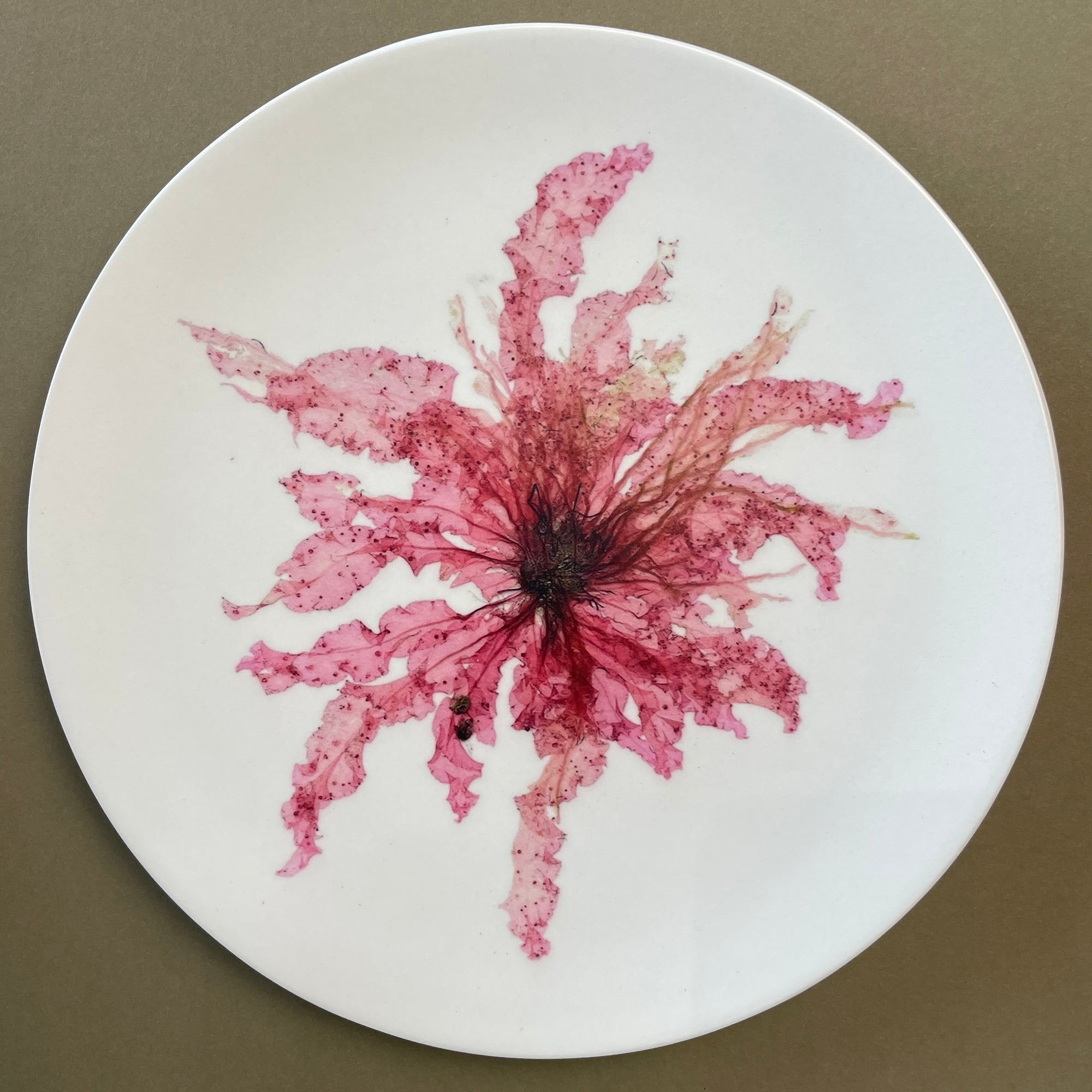 Melamine Small Plates