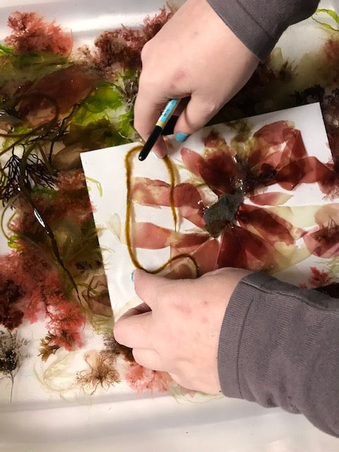 Custom Seaweed Pressing Workshop