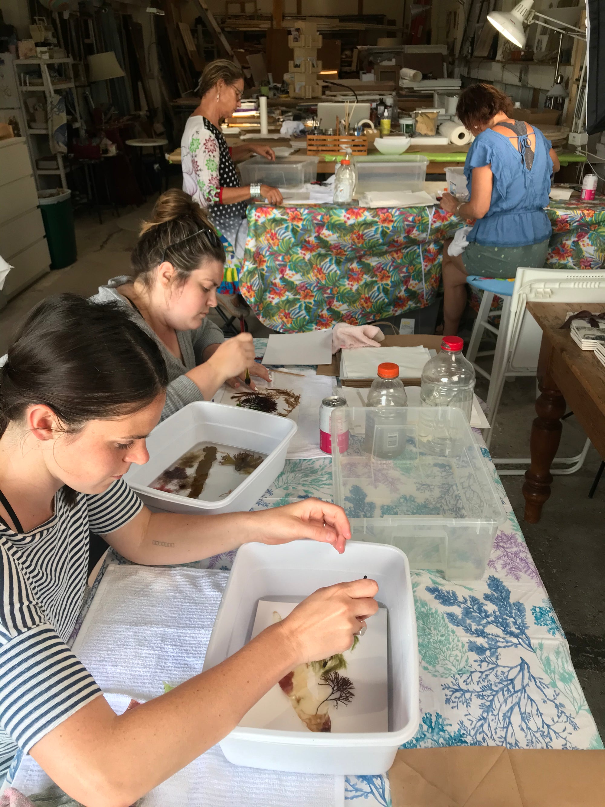 Custom Seaweed Pressing Workshop