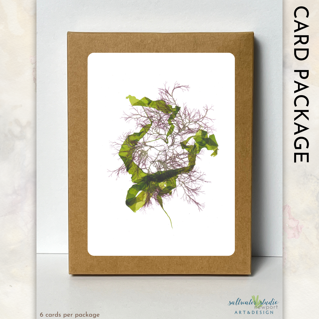 Narragansett Bay Card Package