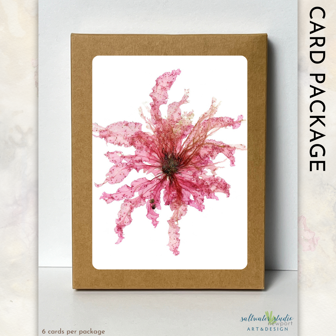 Ocean Flowers Card Package