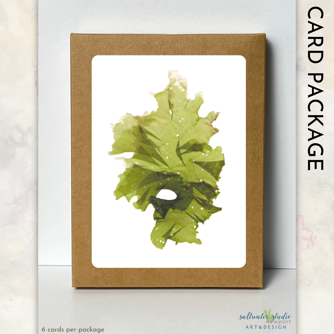 Third Beach Card Package