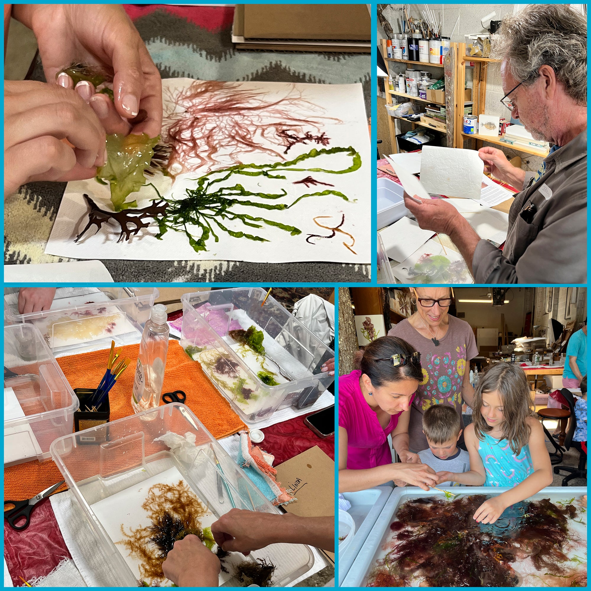 Custom Seaweed Pressing Workshop, Family Package