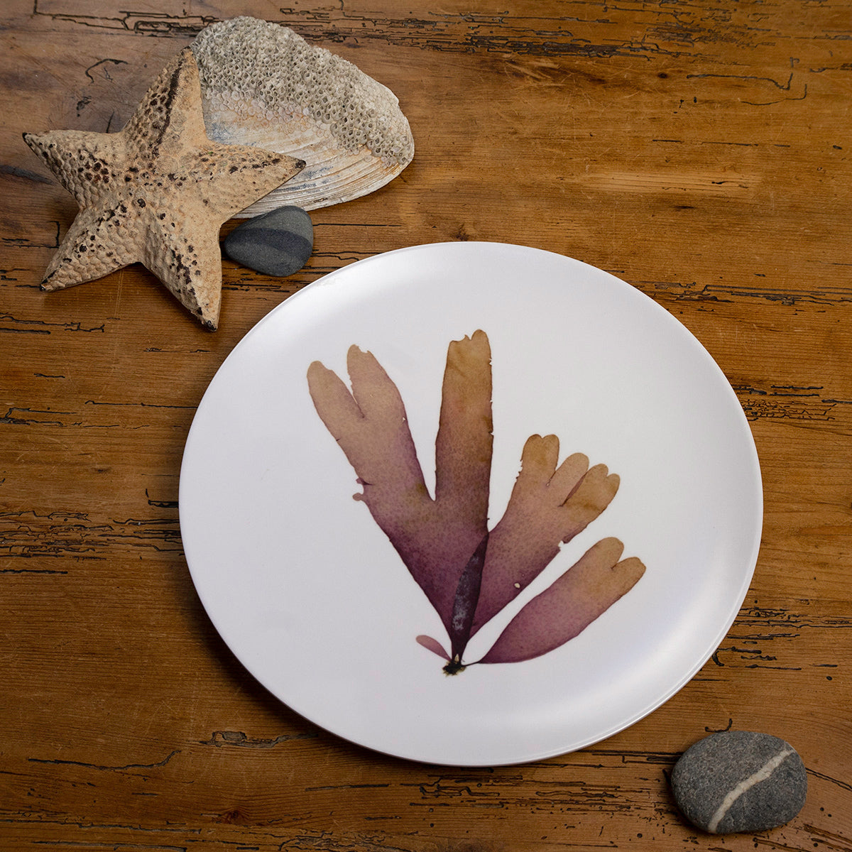 Balloon Dulse Seaweed Plate