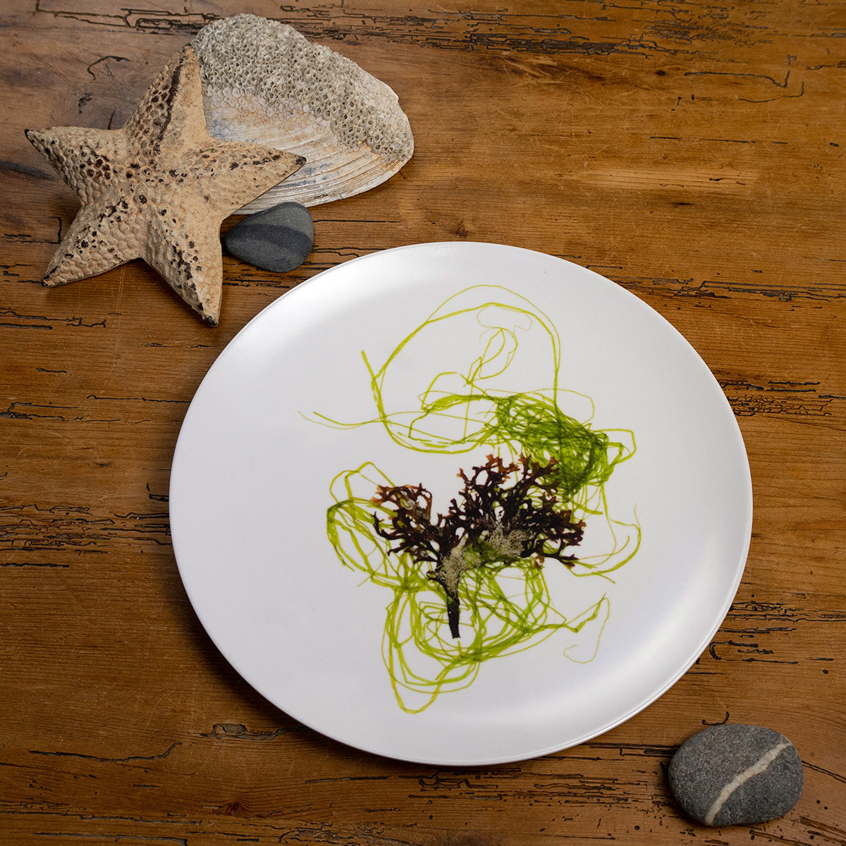 Planeta II Seaweed Plate
