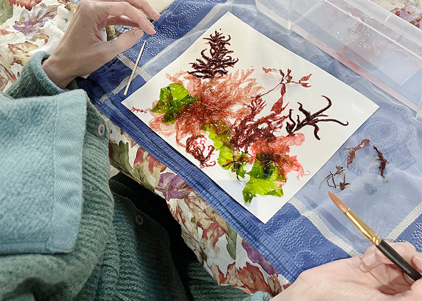 Seaweed Workshops