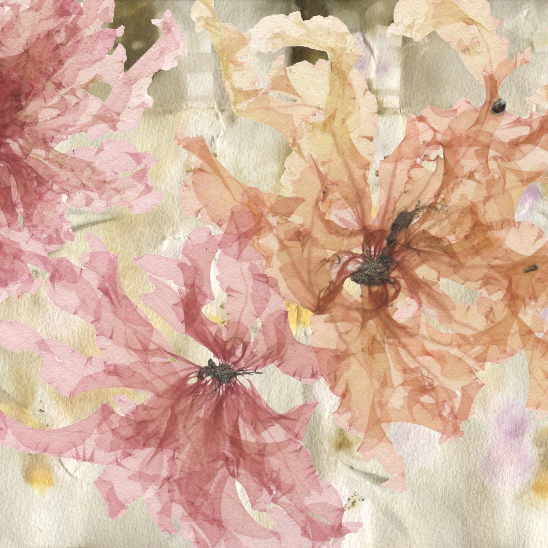 3 Grinnell with Eco Print Background Wood Panel Block