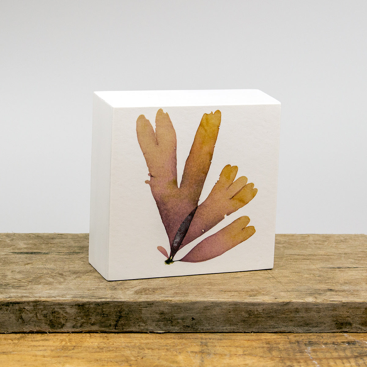 Balloon Dulse Wood Panel Block