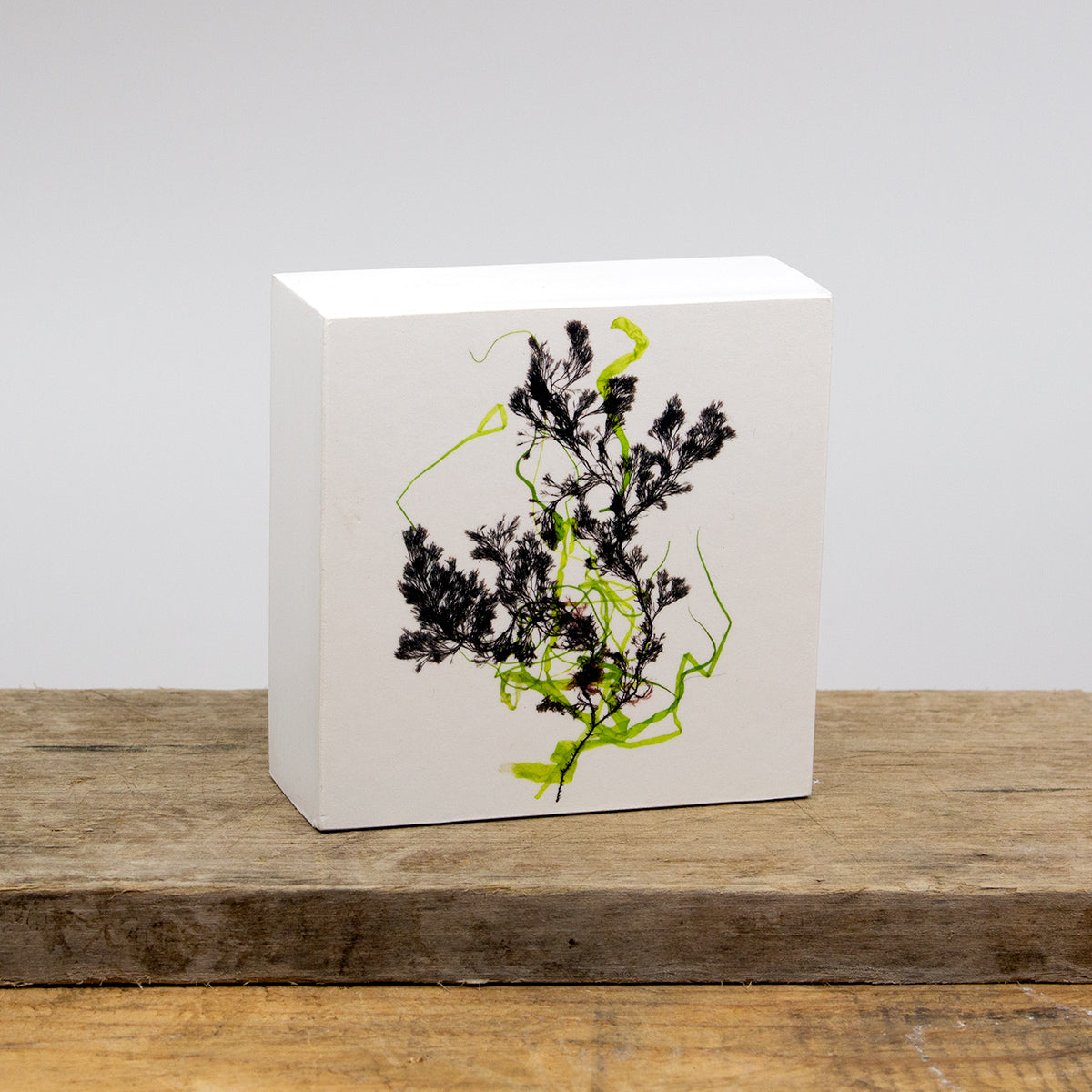 Conanicut Collage Wood Panel Block