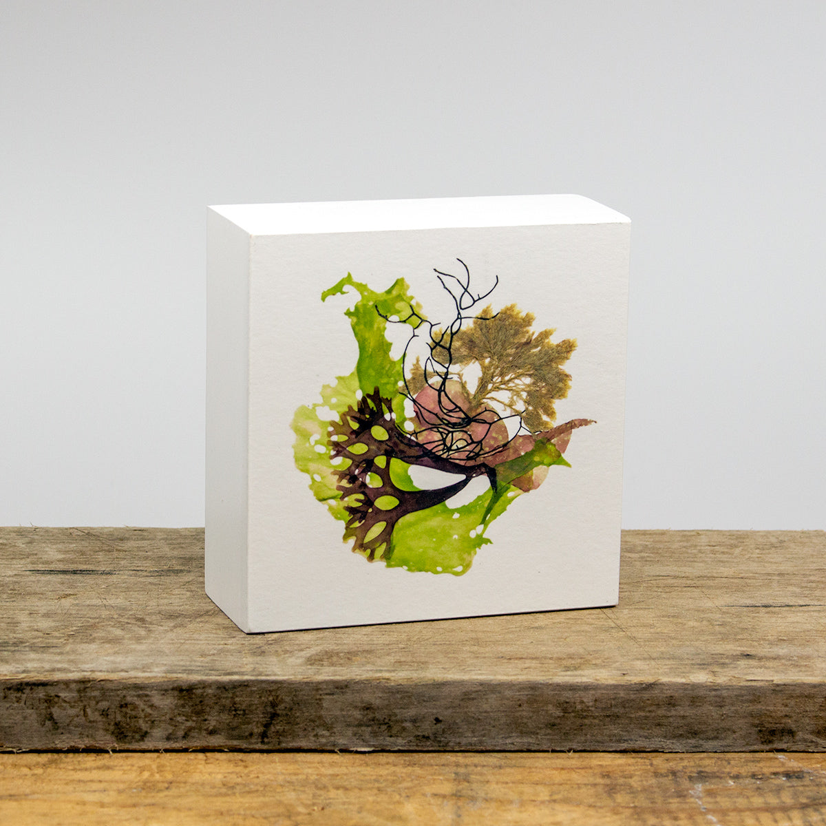 Dory's Cove Collage Wood Panel Block