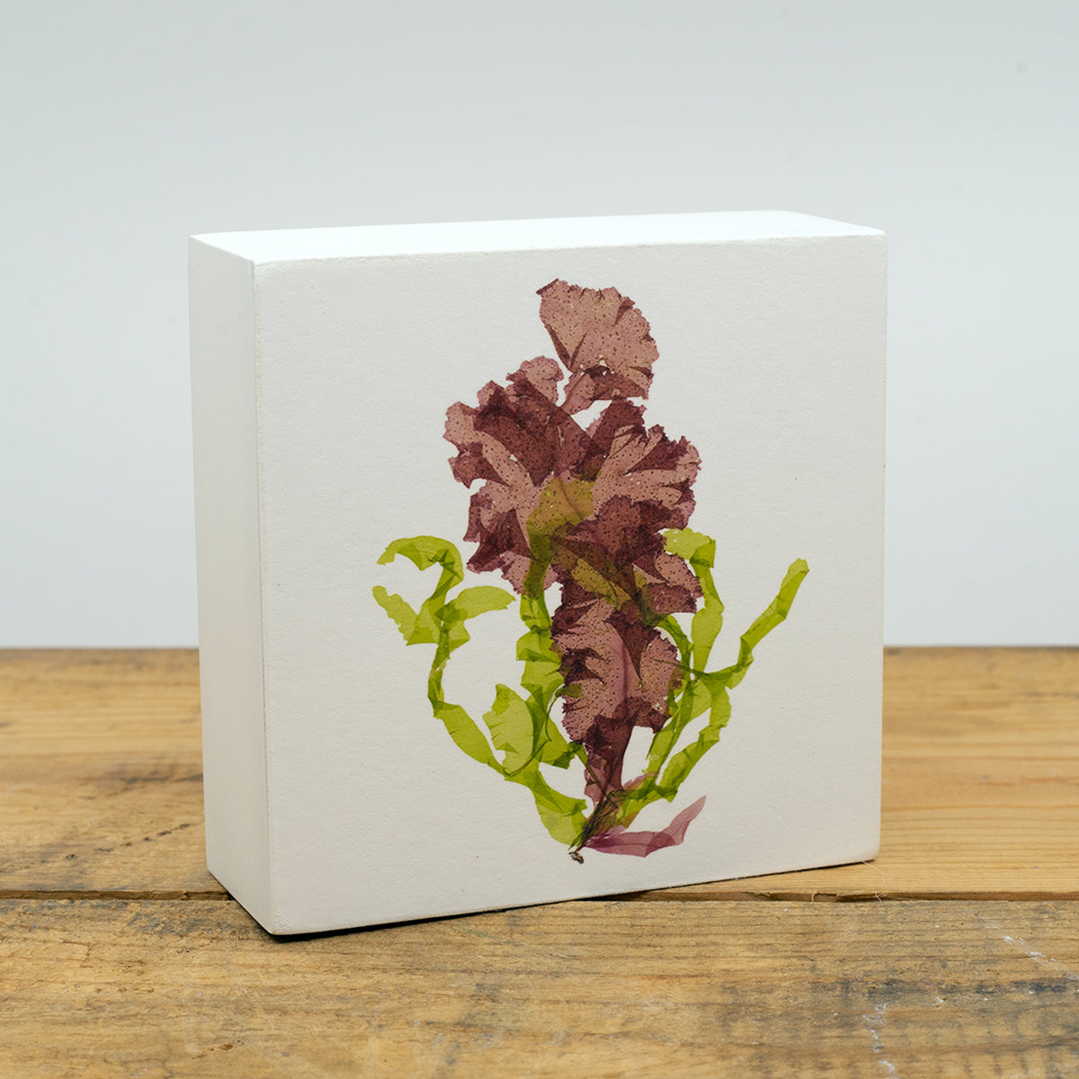 Grinnell and Green Collage Wood Panel Block