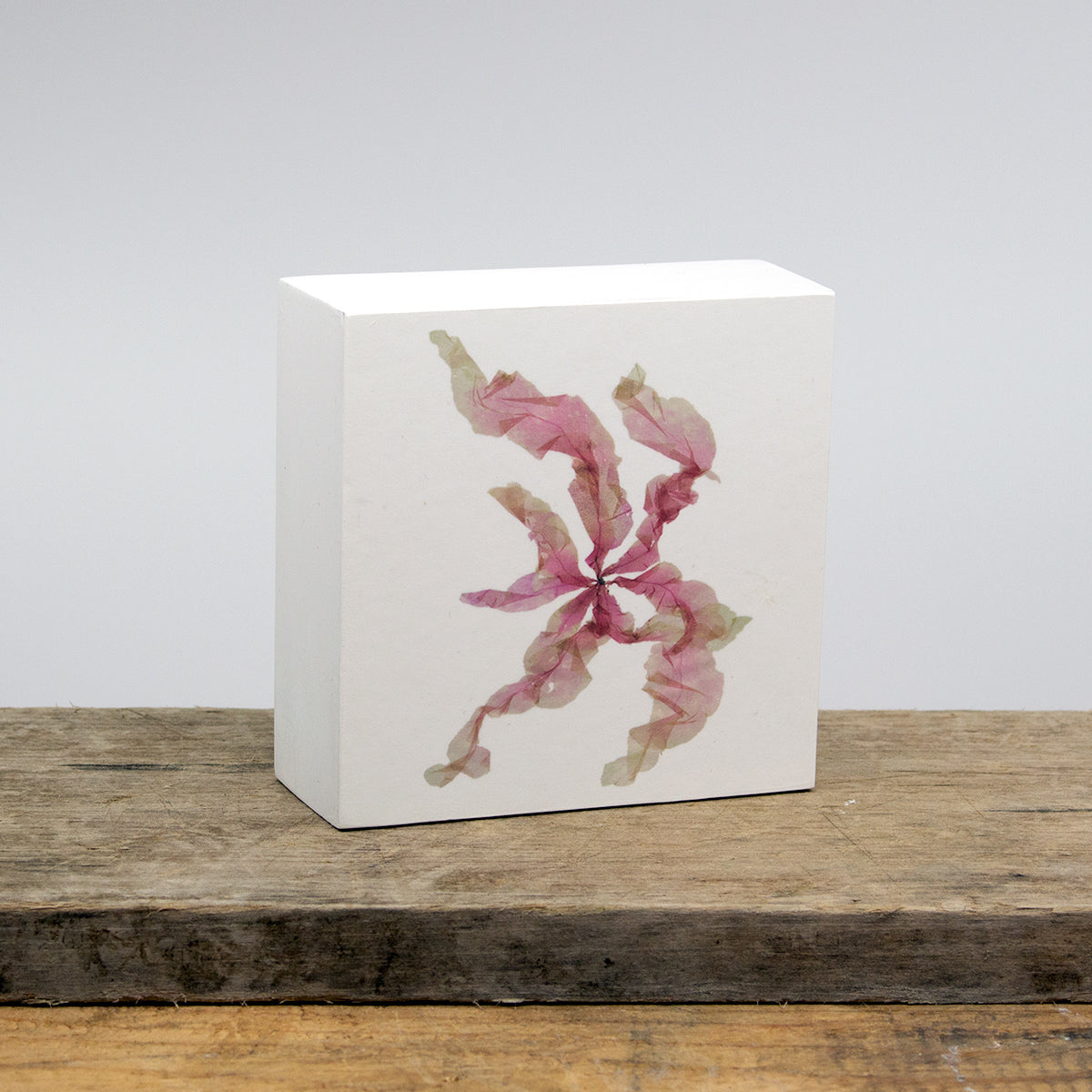 Grinelia Americana Wood Panel Block