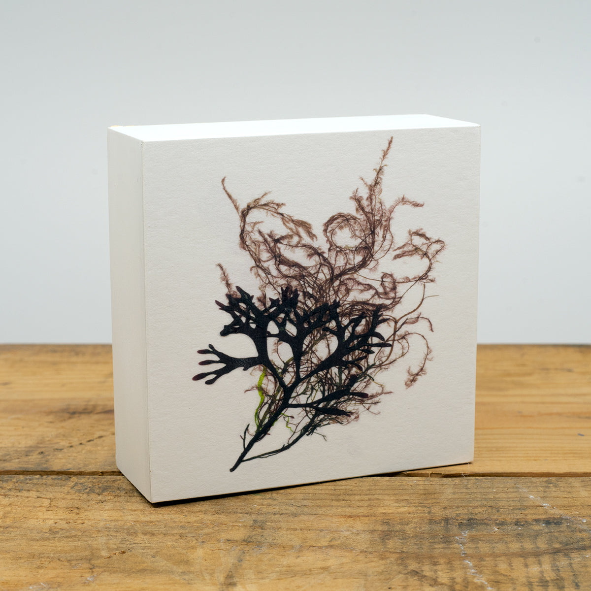 Irish Elegans Collage Wood Panel Block