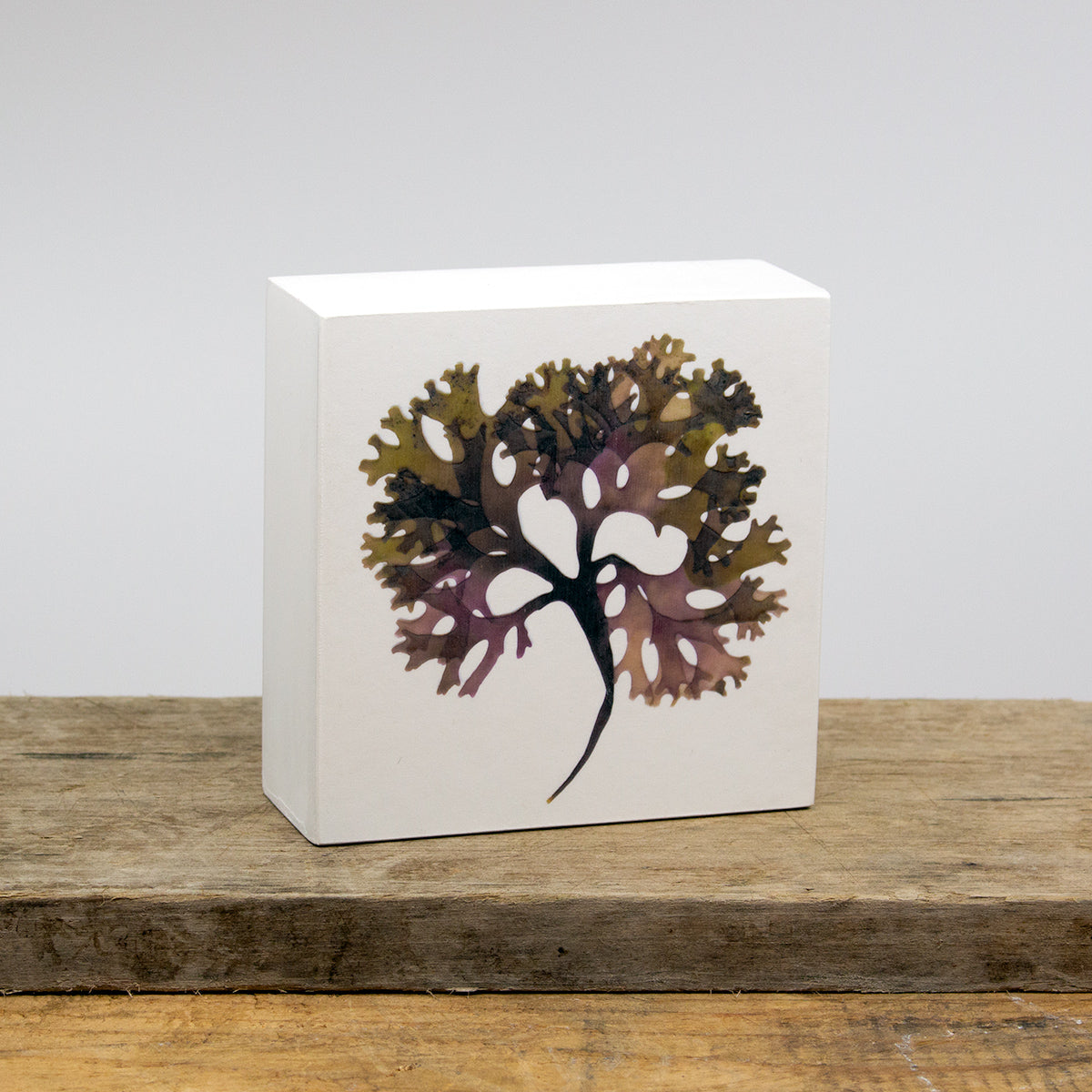 Irish Moss Wood Panel Block