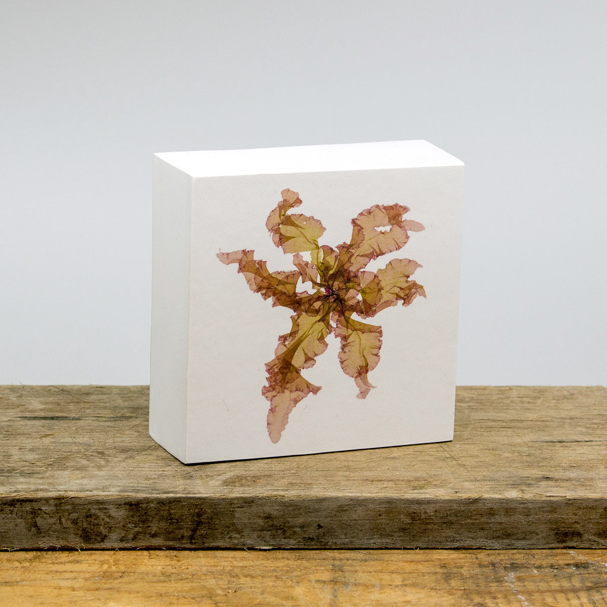 Julia's Block Island Flower Wood Panel Block