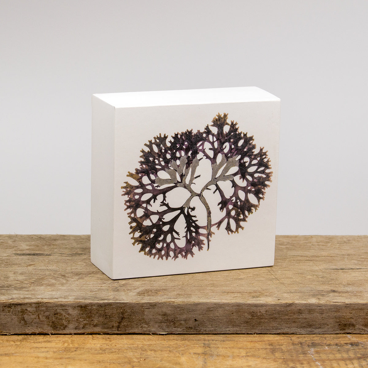 Marblehead Irish Moss Wood Panel Block