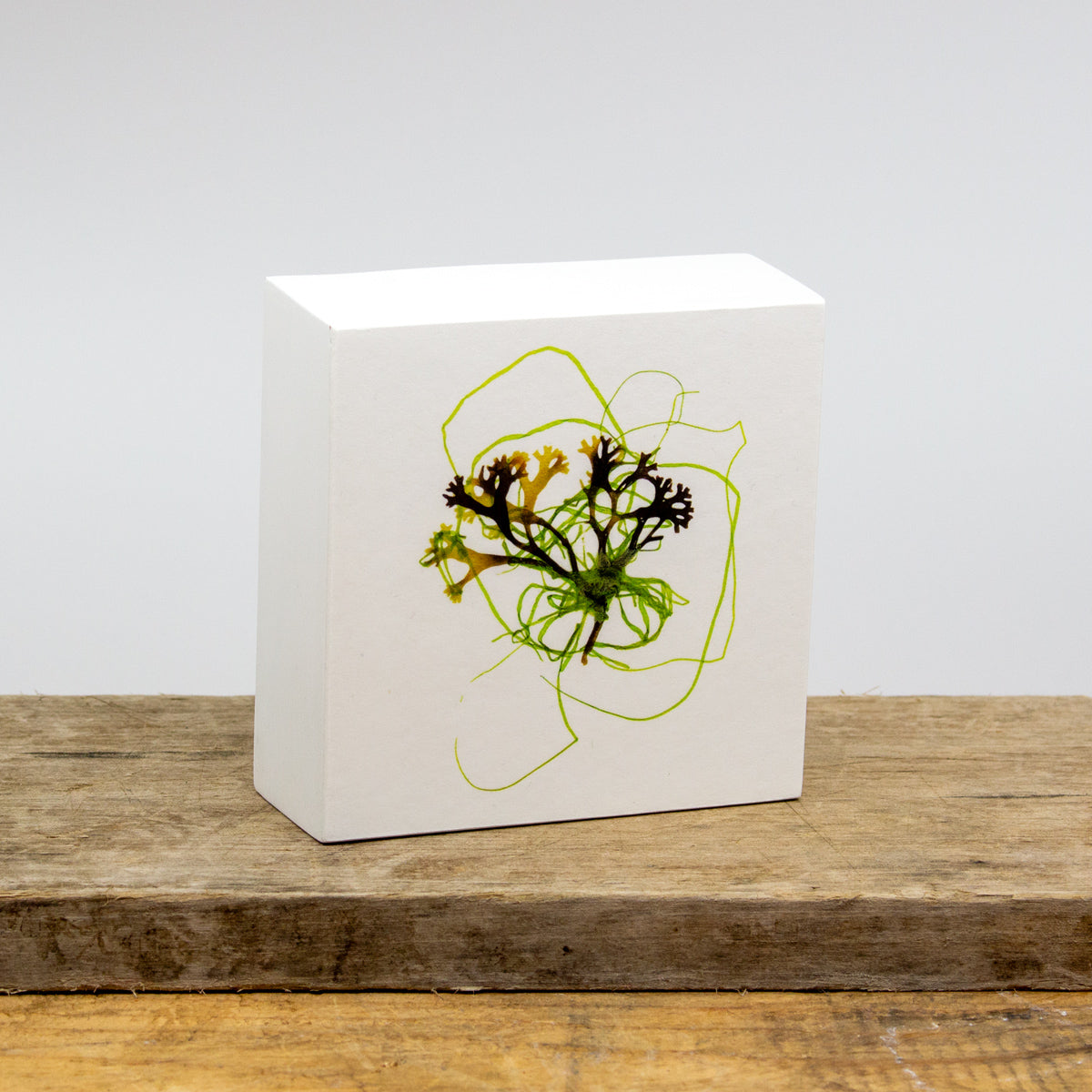 Planeta Collage 1 Wood Panel Block