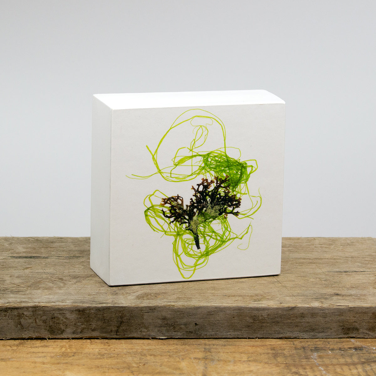 Planeta Collage 2 Wood Panel Block