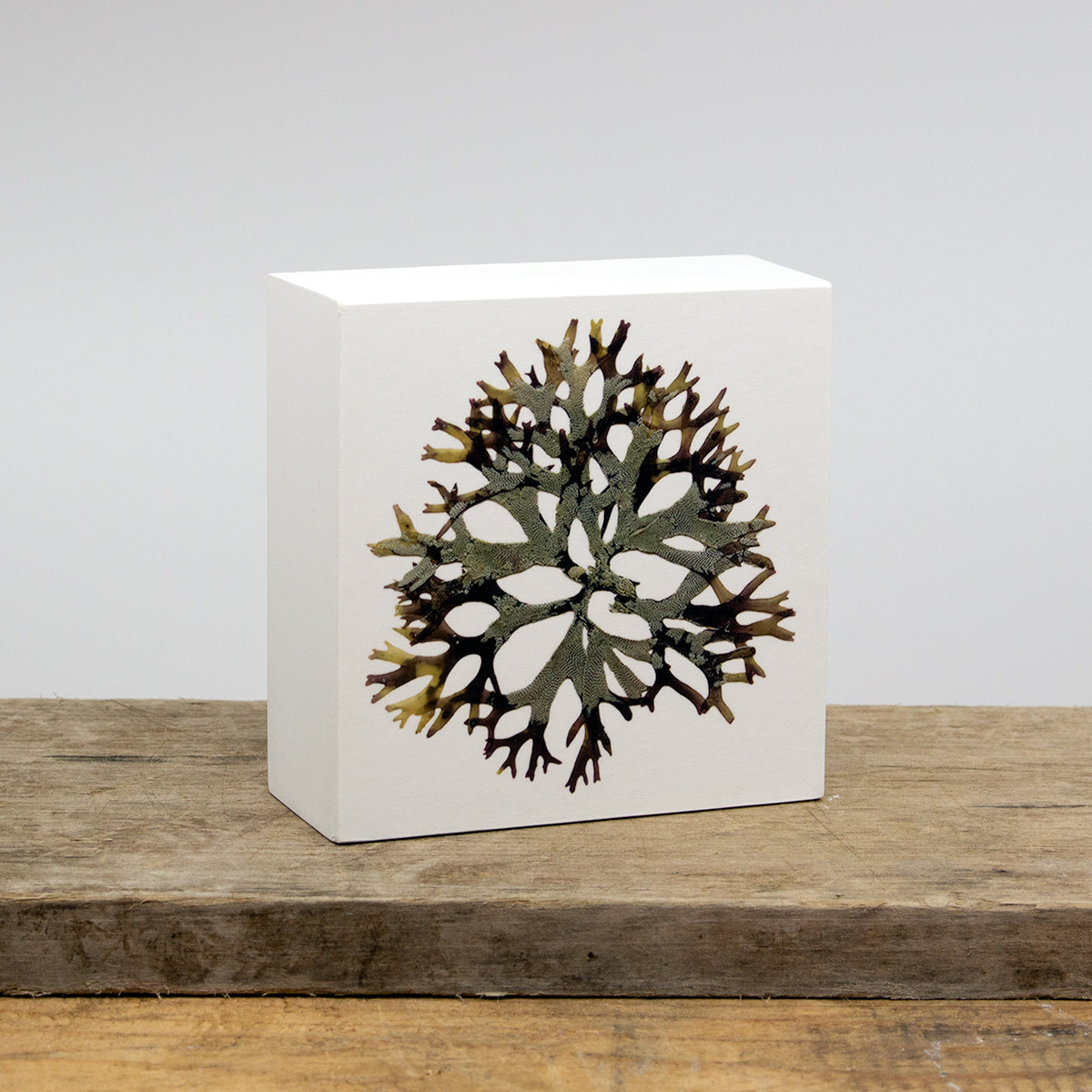 Sea Snowflake Wood Panel Block