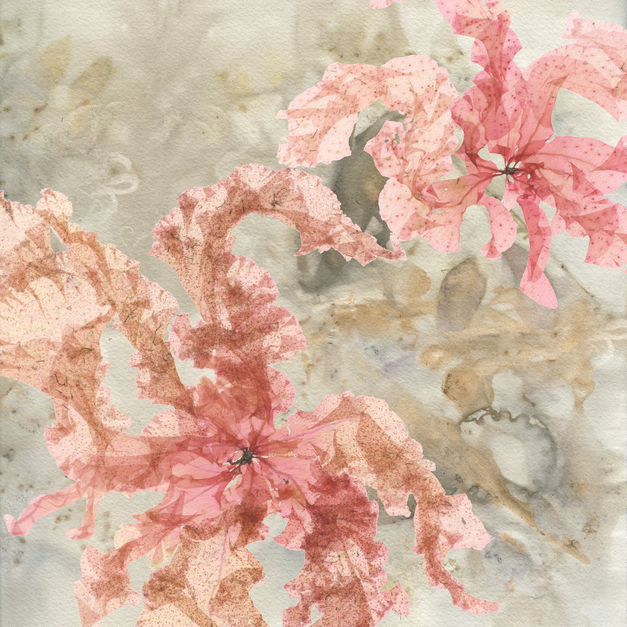 Eco-Atlantic Series: Grinnell Wood Panel Block