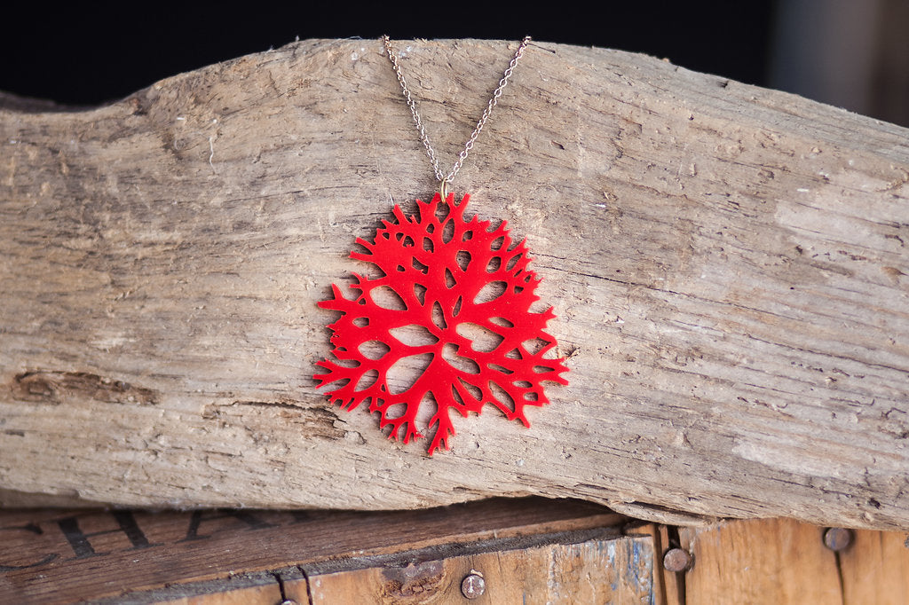 Irish Moss Seaweed Necklace