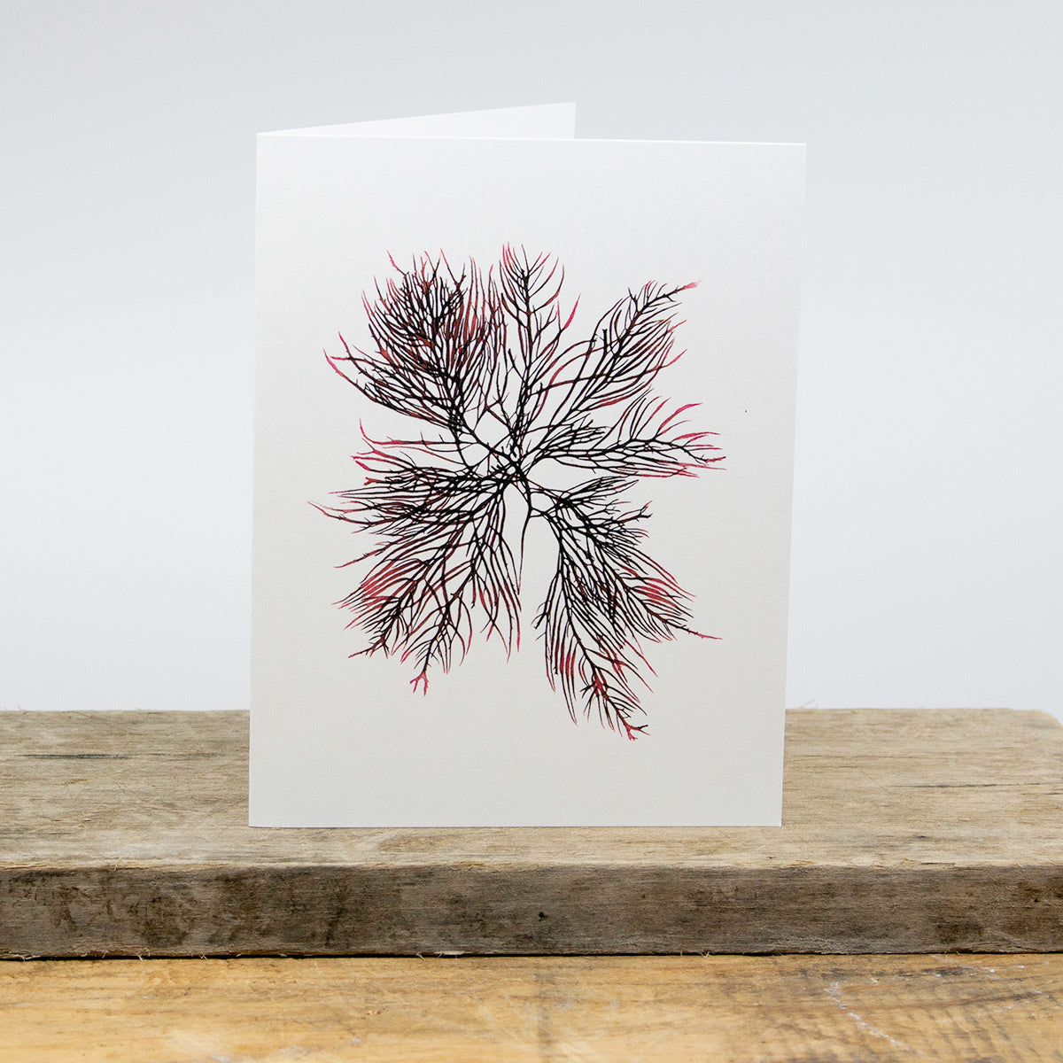 Agardh's Red Greeting Card