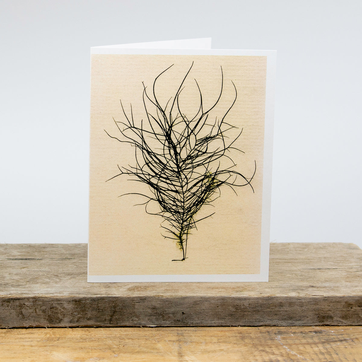 Black Whip Greeting Card
