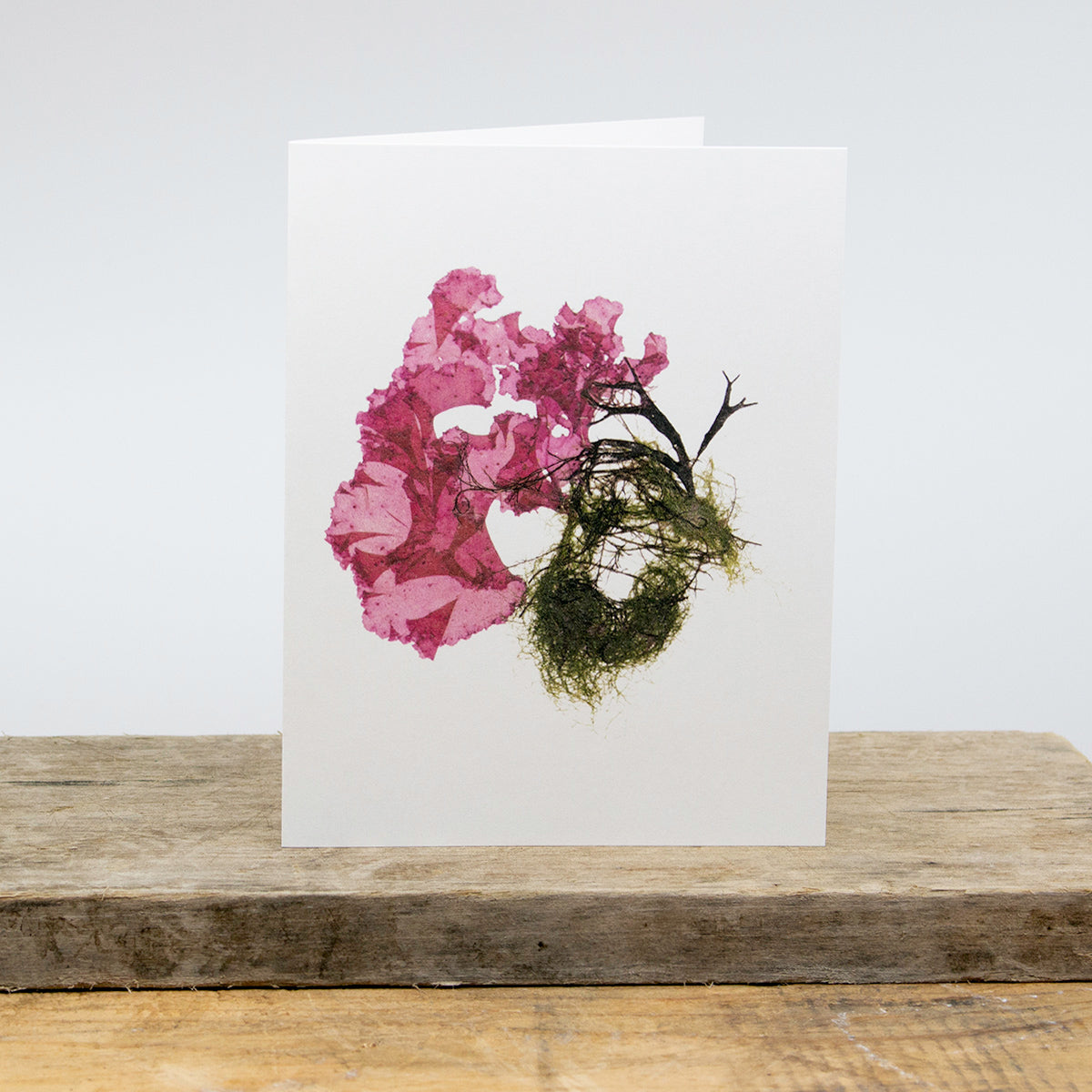Block Island Rose Greeting Card