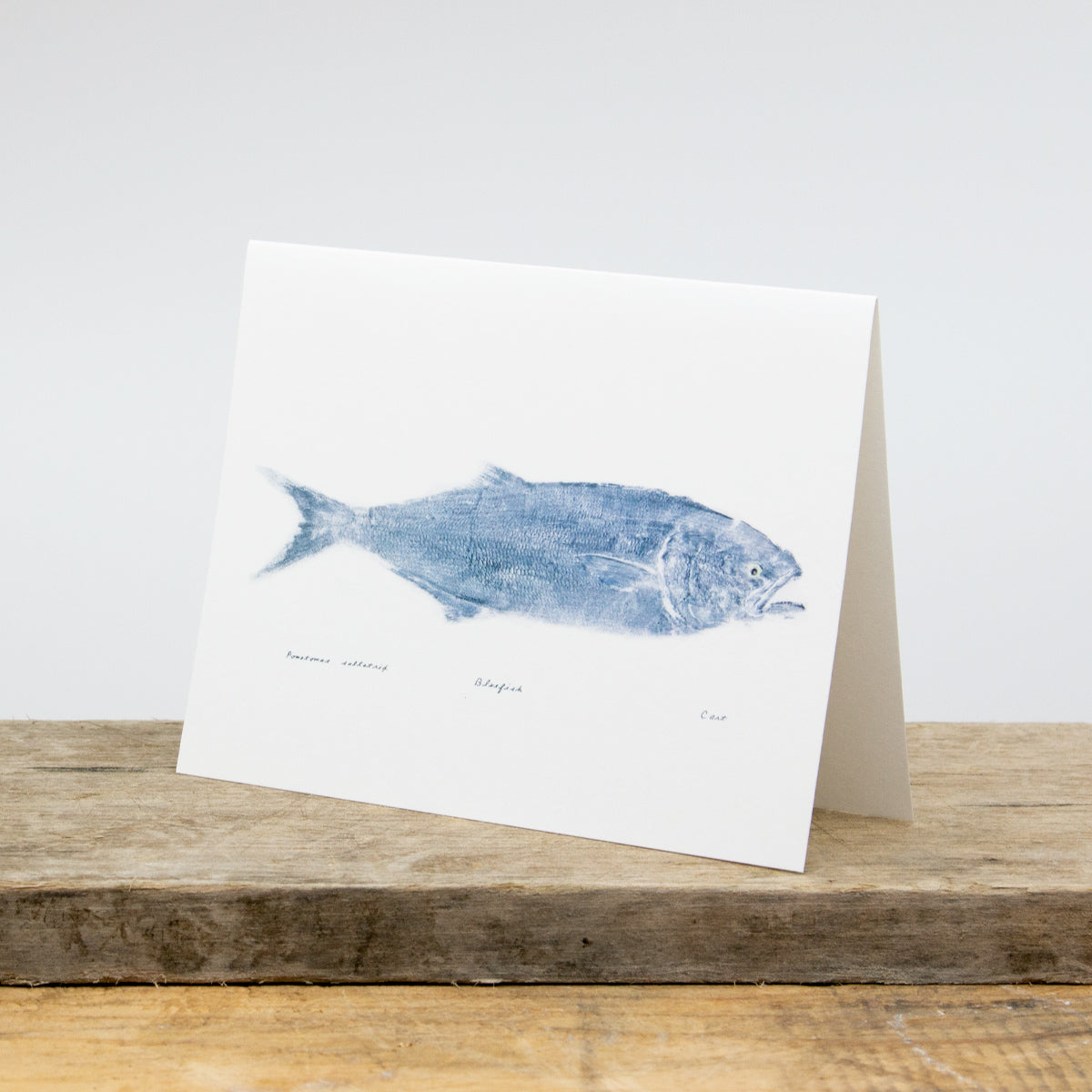 Striper Blue Card Package