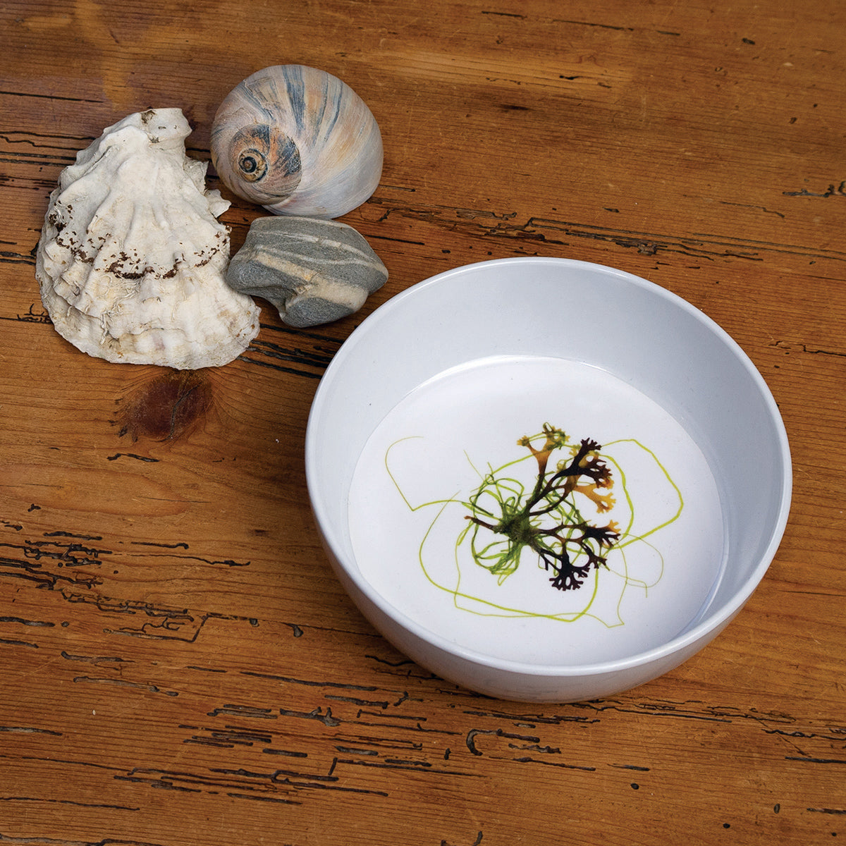 Planeta I Collage Bowl