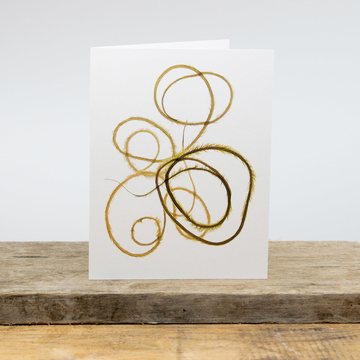 Atlantic Seaweed Card Package