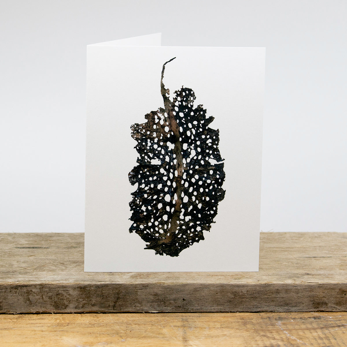 Collander Kelp Greeting Card