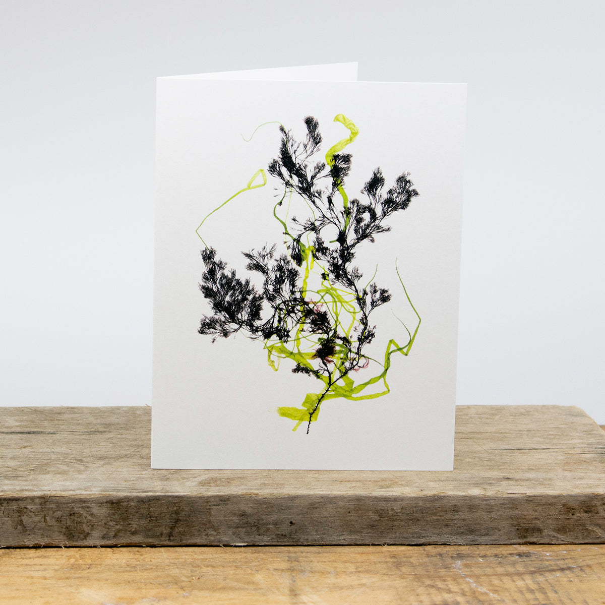 Conanicut Collage Greeting Card