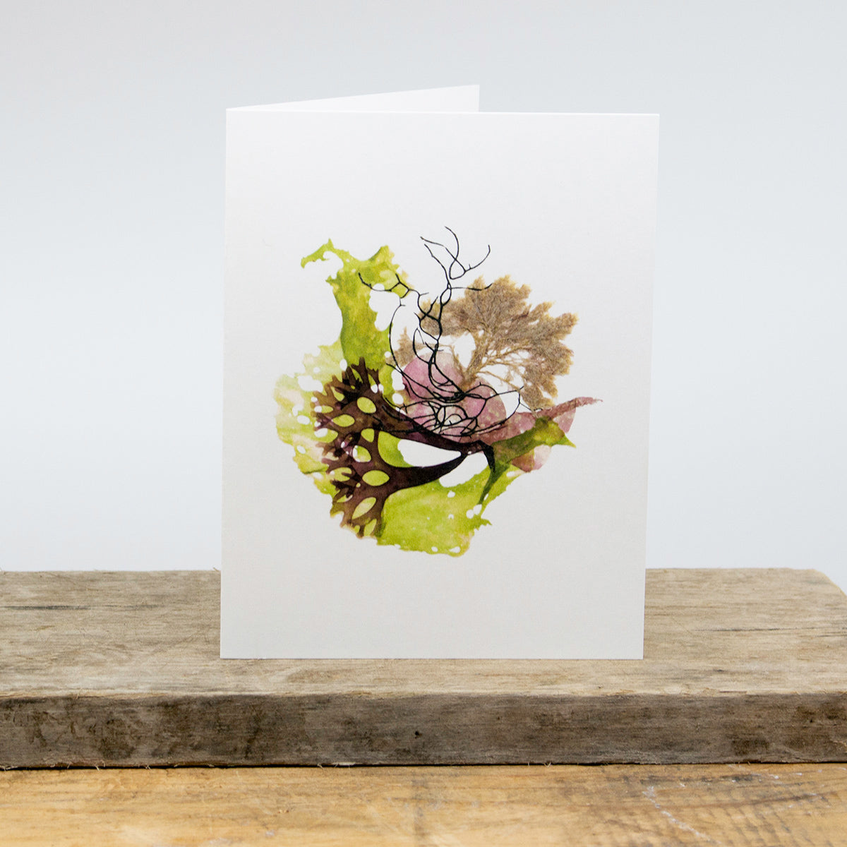 Dory's Cove Collage Greeting Card