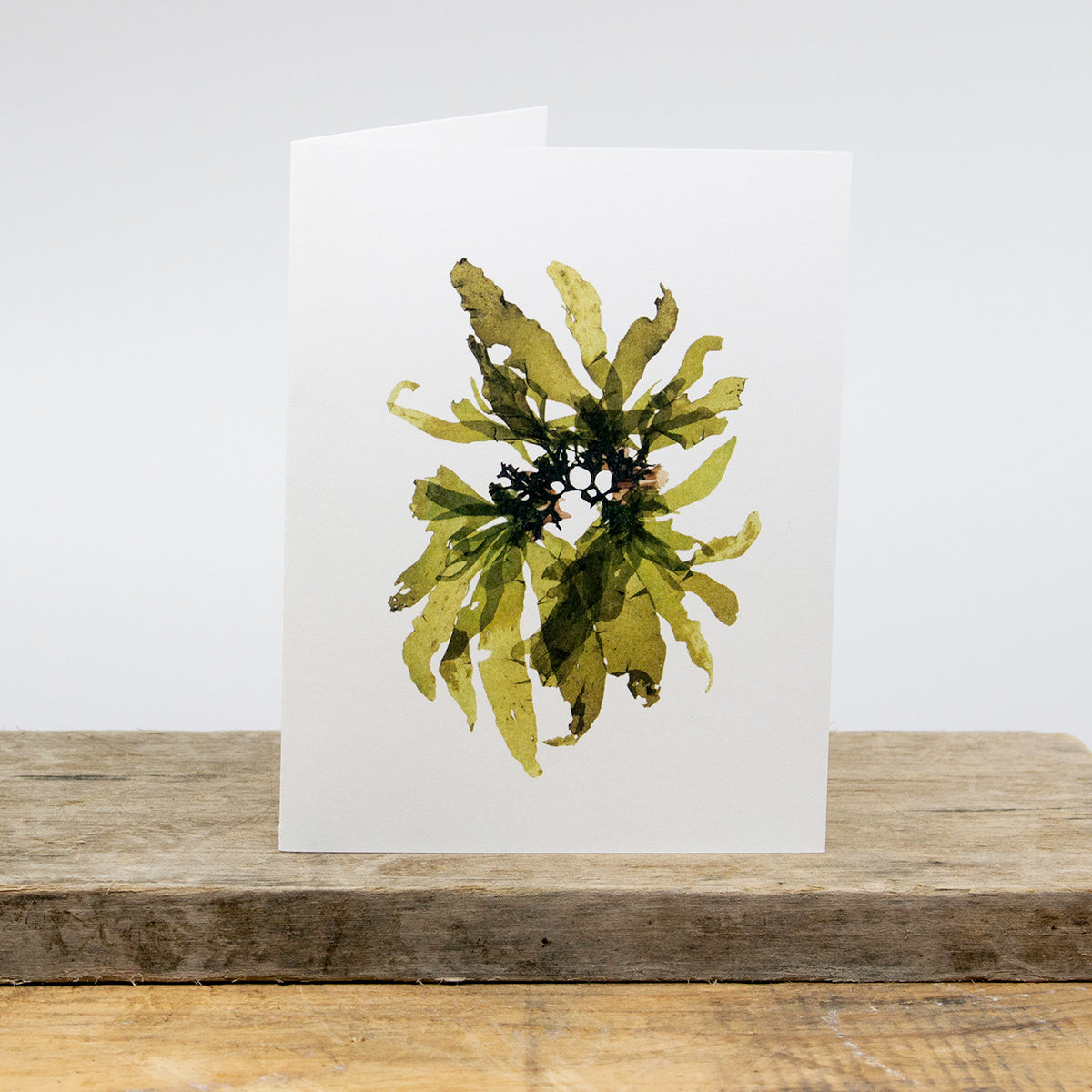 Green Bloom Greeting Card