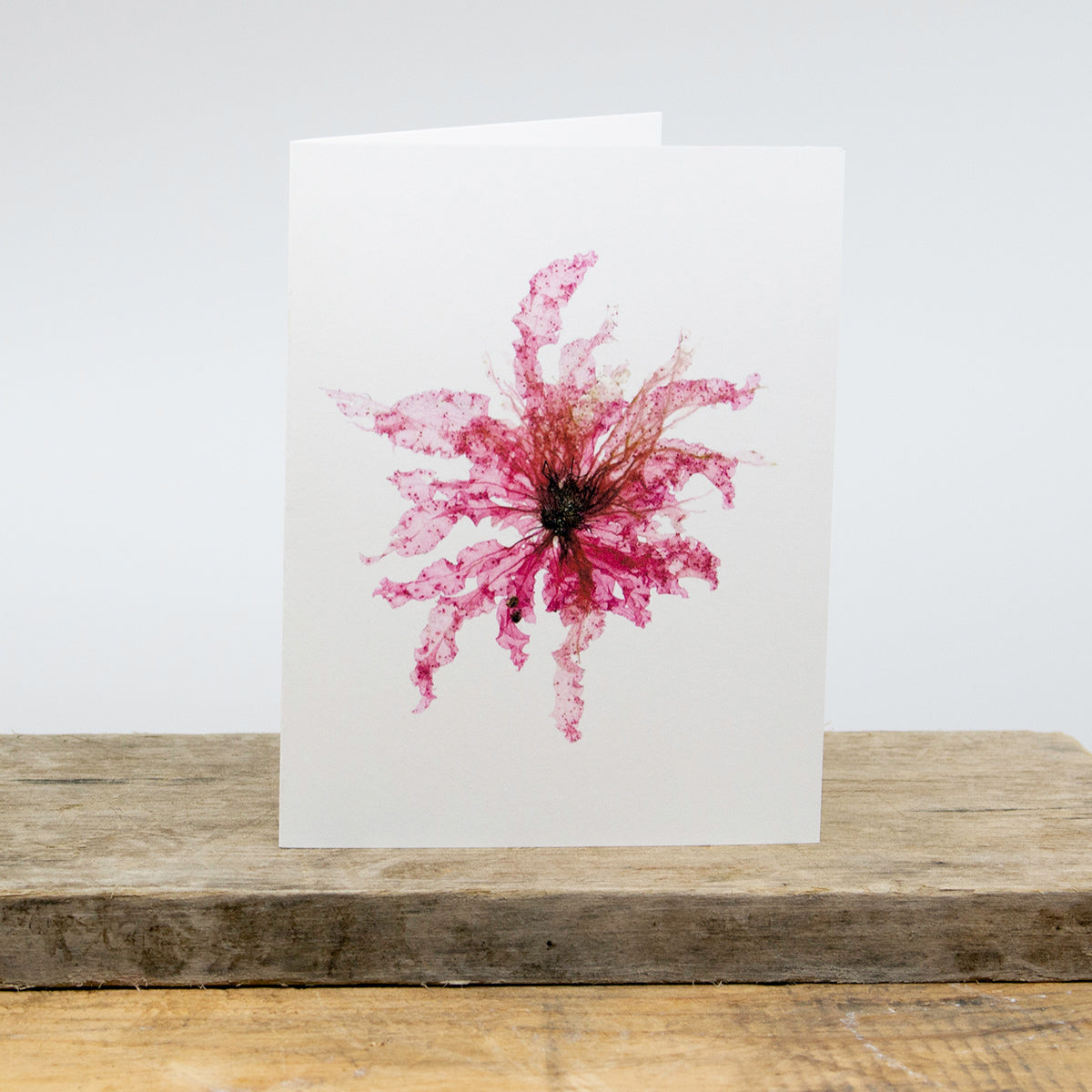 Ocean Flowers Card Package
