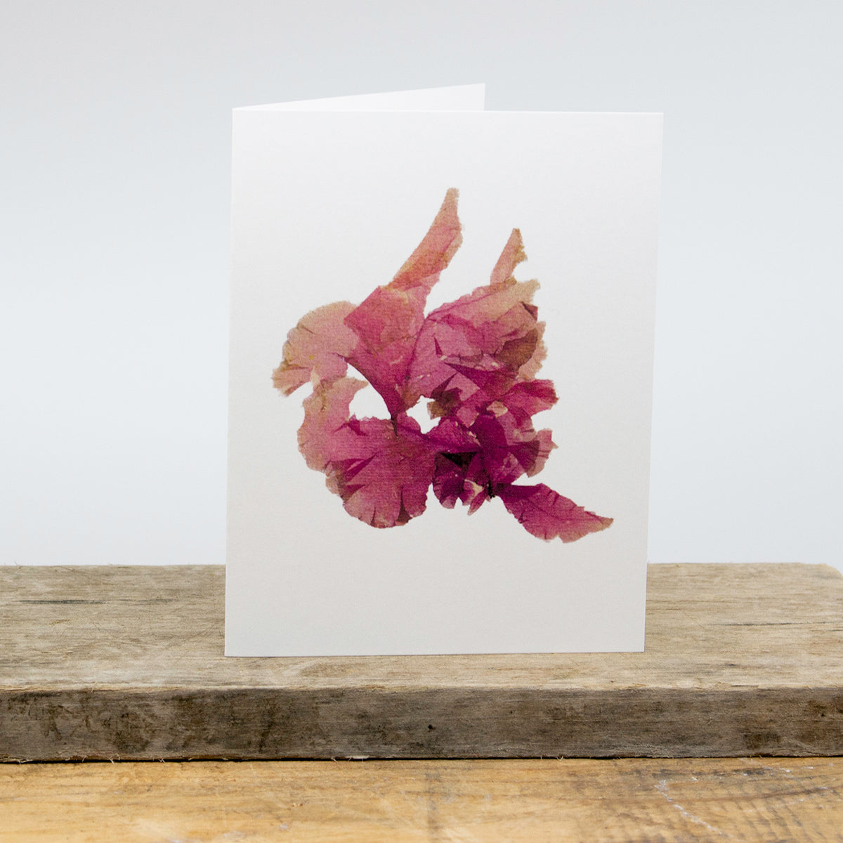 Ocean Flowers Card Package