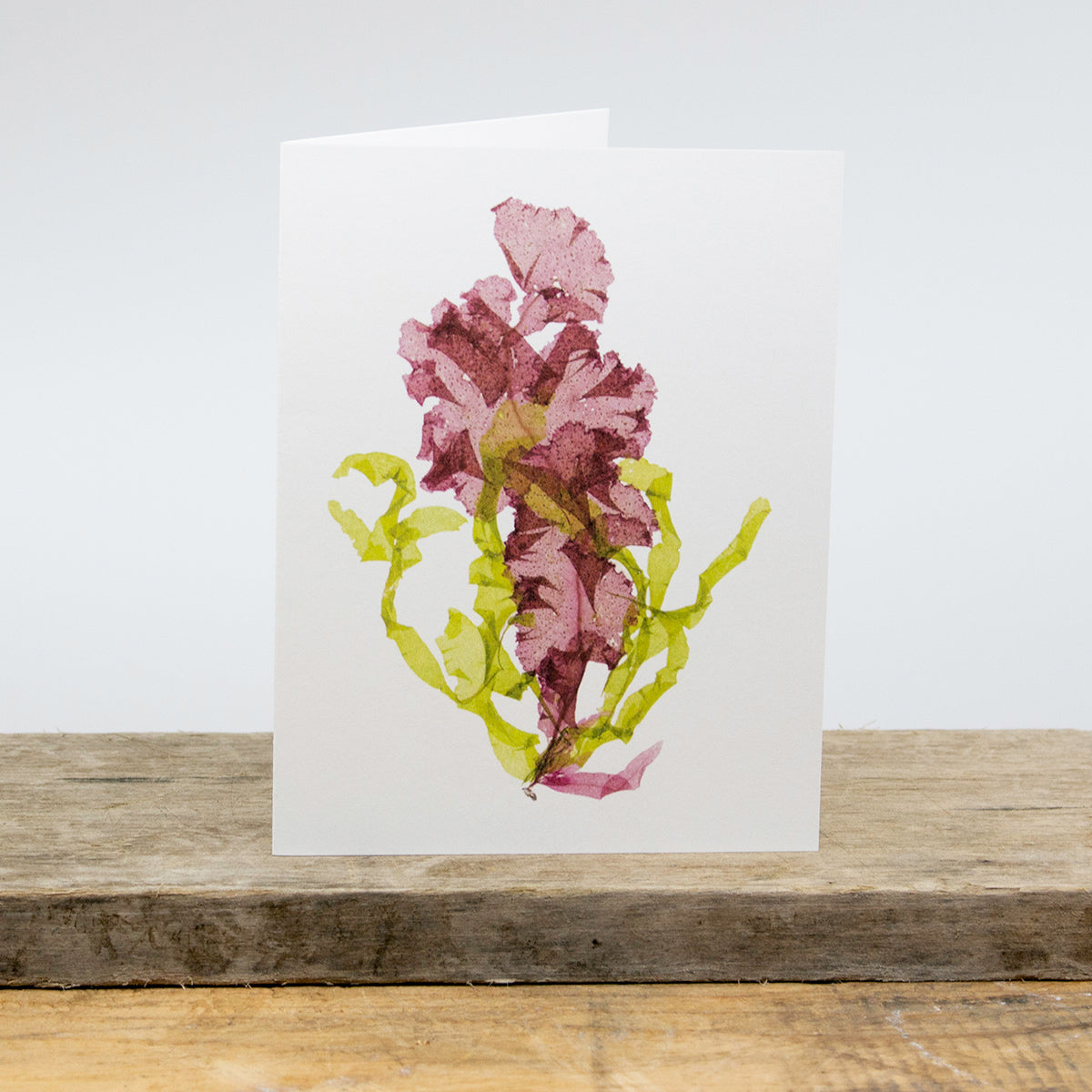 Grinnell and Green Seaweed Collage Greeting Card