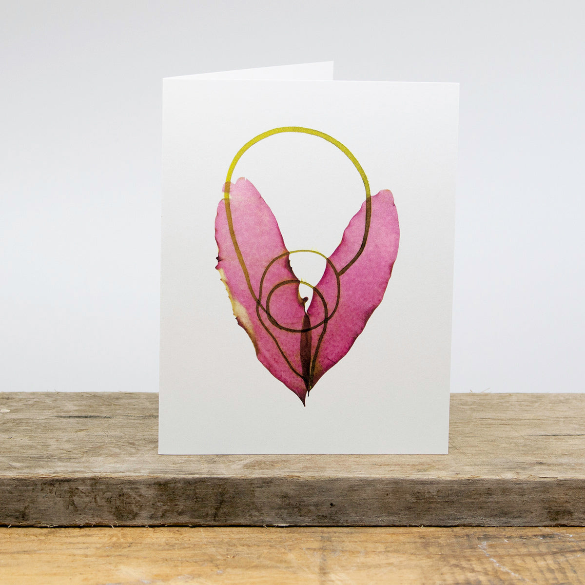 Atlantic Seaweed Card Package