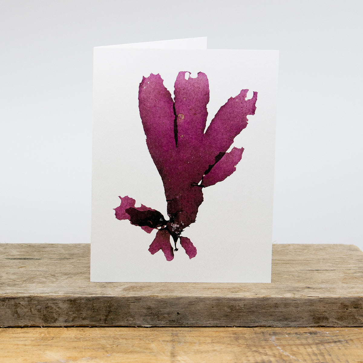 Inky Dulse Greeting Card