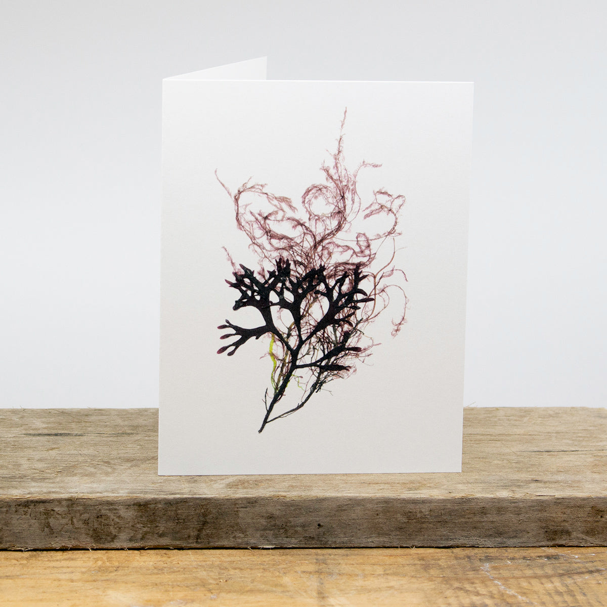 Irish Elegans Collage Greeting Cards