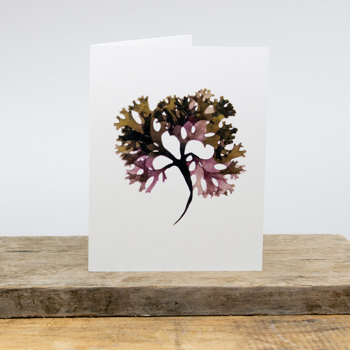 Irish Moss Greeting Card