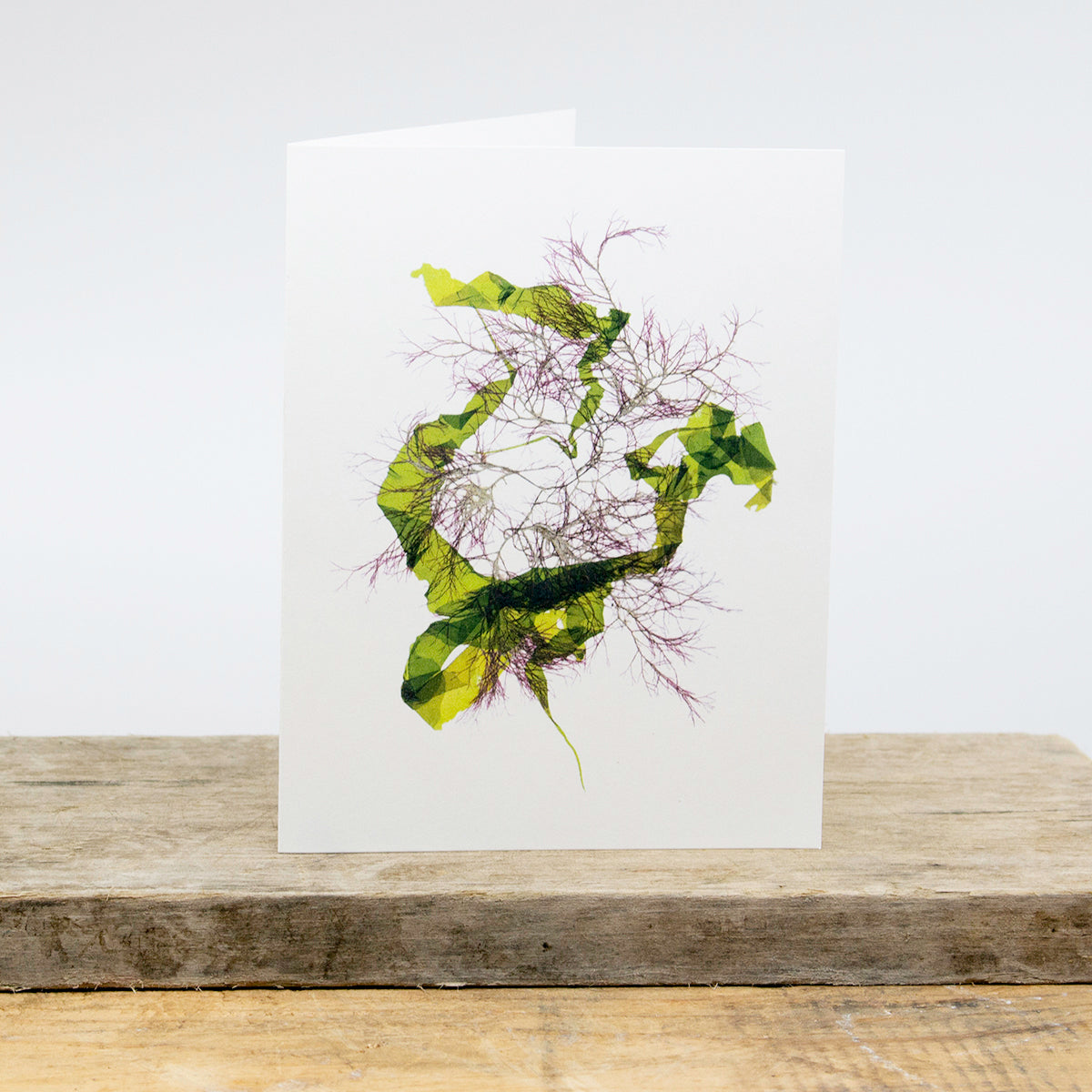 Narragansett Bay Card Package