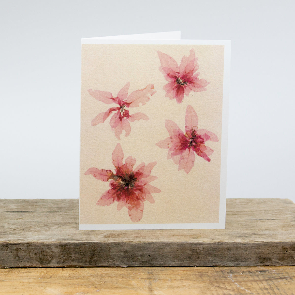 Ocean Flowers Card Package